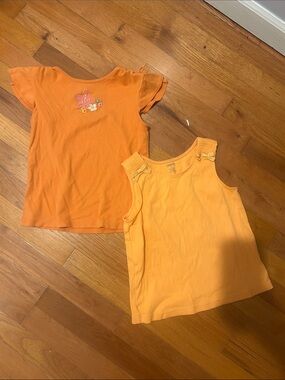 Gymboree Girls Orange Tee&Tank Duo